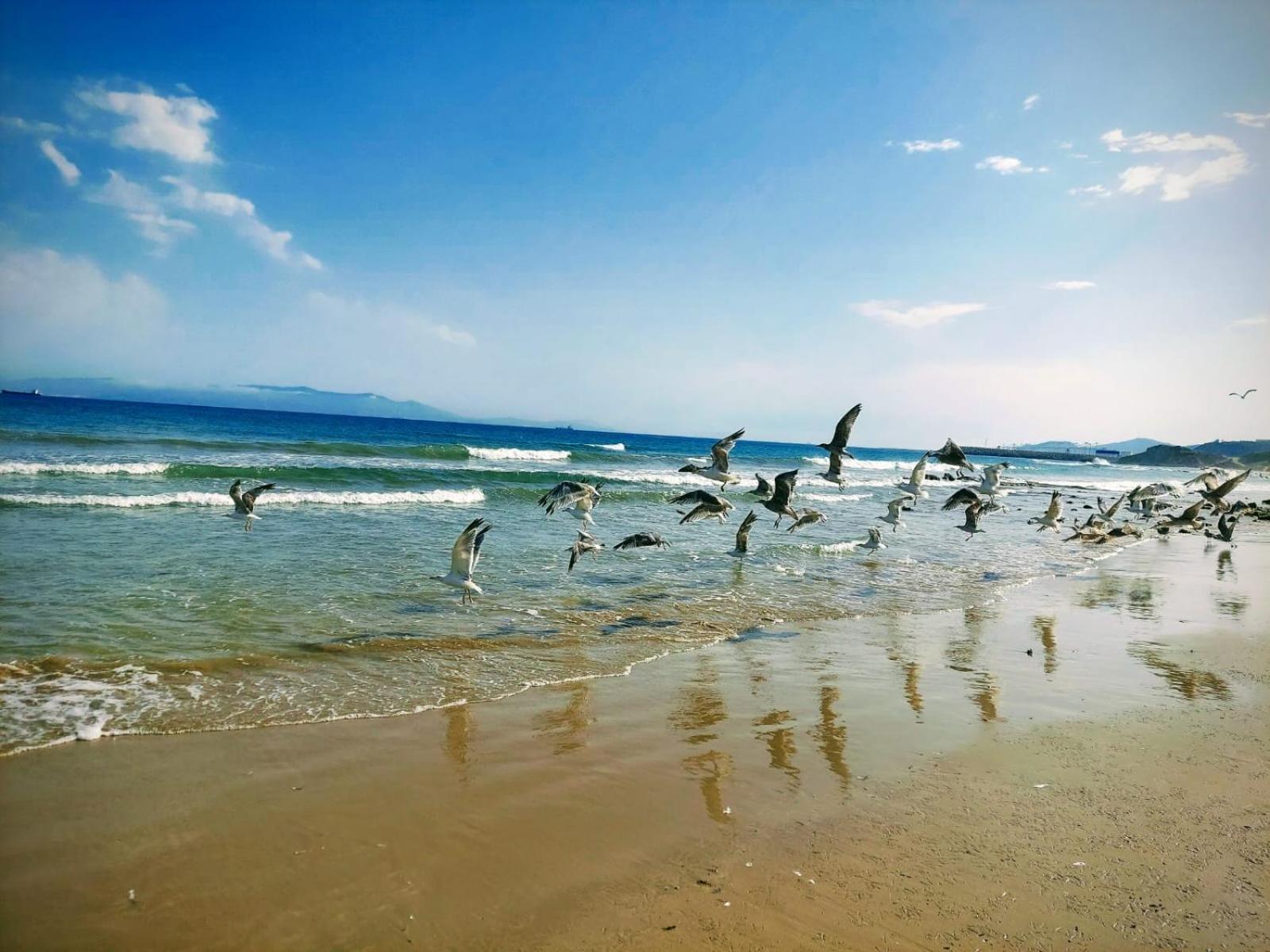 Ghougine Serenity Residence Bis Tanca Dış mekan fotoğraf